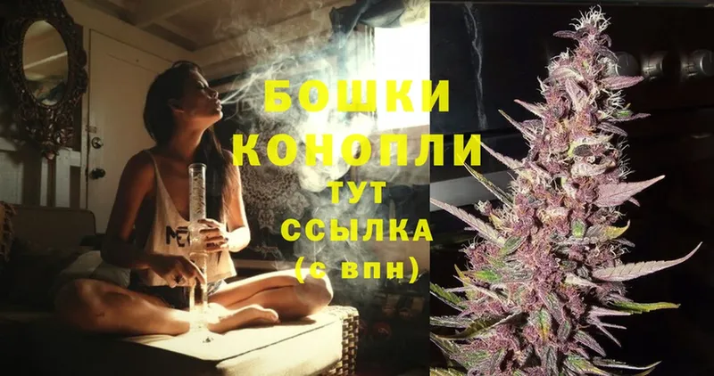 Конопля SATIVA & INDICA  Липки 